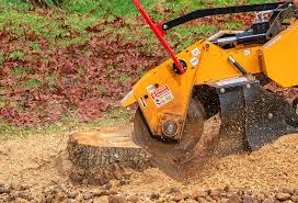 Seasonal Cleanup (Spring/Fall) in Frazee, MN
